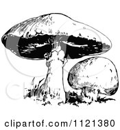 Clipart Of Retro Vintage Black And White Mushrooms Royalty Free Vector Illustration