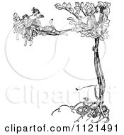 Clipart Of Retro Vintage Black And White Women Singing In A Tree Royalty Free Vector Illustration