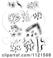 Clipart Of Retro Vintage Black And White Bacteria Royalty Free Vector Illustration