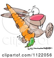 Cartoon Of A Happy Rabbit Carrying A Huge Carrot Royalty Free Vector Clipart