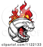 Screaming Flaming Volleyball Mascot