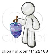 Poster, Art Print Of White Man Vintner Wine Maker Holding Grapes
