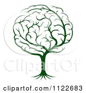 Clipart Of A Green Brain Tree Royalty Free Vector Illustration by AtStockIllustration #COLLC1122683-0021