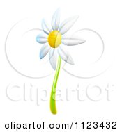 Clipart Of A 3d White Daisy Flower Royalty Free CGI Illustration