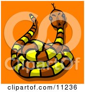 Yellow And Brown Rattlesnake