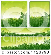 Poster, Art Print Of Green Plant Nature Website Banners