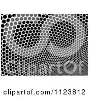 Poster, Art Print Of Black And White Mesh Dot Texture