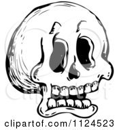 Clipart Of A Sketched Black And White Human Skull Royalty Free Vector Illustration by visekart