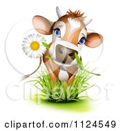 Poster, Art Print Of Cute Jersey Cow With A Daisy In Its Mouth Standing In Grass