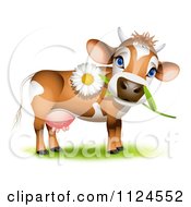 Poster, Art Print Of Cute Jersey Cow With A Daisy In Its Mouth