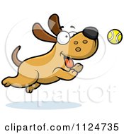 Happy Dog Chasing A Tennis Ball