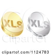 Poster, Art Print Of 3d Gold And Silver Xls Format Coin Icons