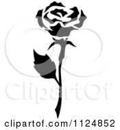 Poster, Art Print Of Black And White Rose Flower 10