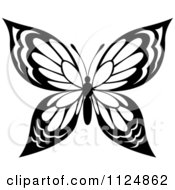 Clipart Of A Black And White Butterfly 20 Royalty Free Vector Illustration