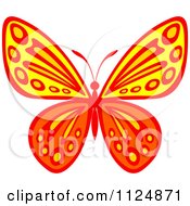 Poster, Art Print Of Ornate Orange And Yellow Butterfly