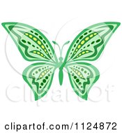 Poster, Art Print Of Ornate Green Butterfly