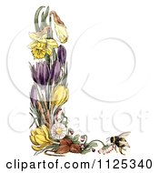Poster, Art Print Of Border Of Daffodil Crocus Daisy Flowers And A Bee