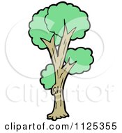 Poster, Art Print Of Tree With Green Foliage 9