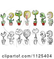 Cartoon Of Fly Catcher Sunflower And Other Carnivorous Plants Royalty Free Vector Clipart
