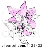 Cartoon Of A Pink Lily Plant With Berries Royalty Free Vector Clipart