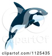 Poster, Art Print Of Happy Jumping Orca Killer Whale