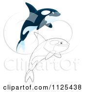 Outlined And Colored Happy Jumping Orca Killer Whales