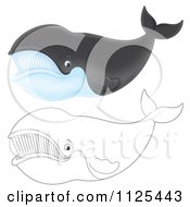 Poster, Art Print Of Outlined And Colored Happy Right Whales