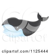 Cartoon Of A Happy Right Whale Royalty Free Clipart by Alex Bannykh