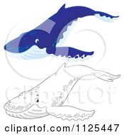 Poster, Art Print Of Outlined And Blue Happy Cute Humpback Whales