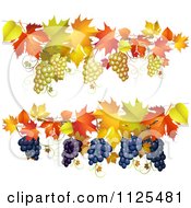 Poster, Art Print Of Borders Of Autumn Maple Leaves And Grapes