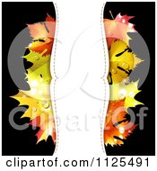 Poster, Art Print Of Background With Autumn Maple Leaves Dew And Vertical Copyspace On Black