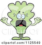 Cartoon Of A Scared Lettuce Mascot Royalty Free Vector Clipart
