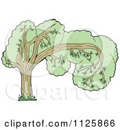 Poster, Art Print Of Tree With Green Foliage 23
