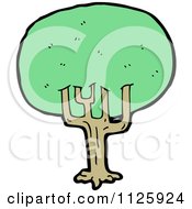 Poster, Art Print Of Tree With Green Foliage 17