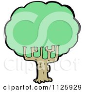 Poster, Art Print Of Tree With Green Foliage 16