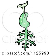 Cartoon Of A Sprouting Green Plant Seed 4 Royalty Free Vector Clipart