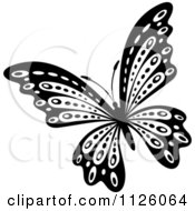 Poster, Art Print Of Black And White Butterfly 30