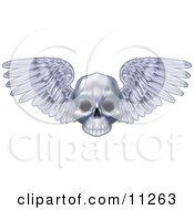 Human Skull With Feathered Wings Spanning