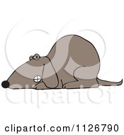 Cartoon Of A Growling Dog Laying Down Royalty Free Vector Clipart