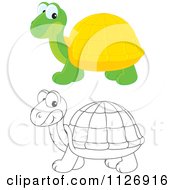Poster, Art Print Of Colored And Outlined Cute Tortoises