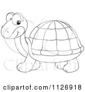 Poster, Art Print Of Outlined Cute Tortoise