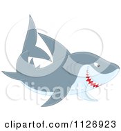 Poster, Art Print Of Smiling Shark