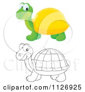 Cartoon Of Colored And Outlined Tortoises Royalty Free Clipart