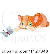 Poster, Art Print Of Cute Curious Ginger Cat Watching A Butterfly