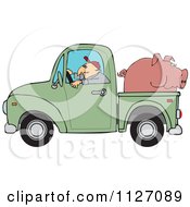 Poster, Art Print Of Farmer Driving A Truck With Pig In The Bed