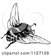 Clipart Of A Retro Vintage Black And White Bee 2 Royalty Free Vector Illustration by Prawny Vintage