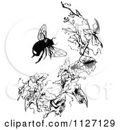 Poster, Art Print Of Retro Vintage Black And White Bumble Bee And Branch