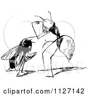 Poster, Art Print Of Retro Vintage Black And White Ant And Fly