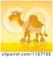 Happy Camel In A Desert