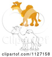 Poster, Art Print Of Happy Colored And Outlined Camels